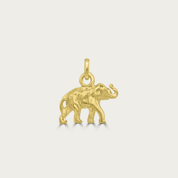 The Mighty Elephant Charm