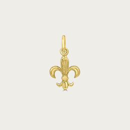 The Fleur de Lys Charm