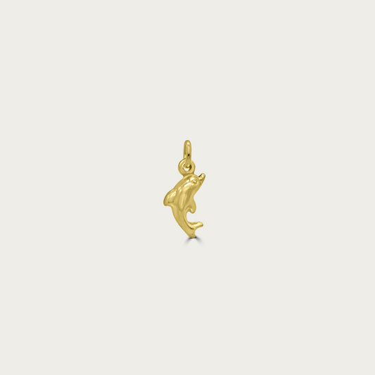 The Dancing Dolphin Charm