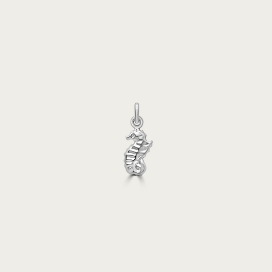 The Silly Seahorse Charm