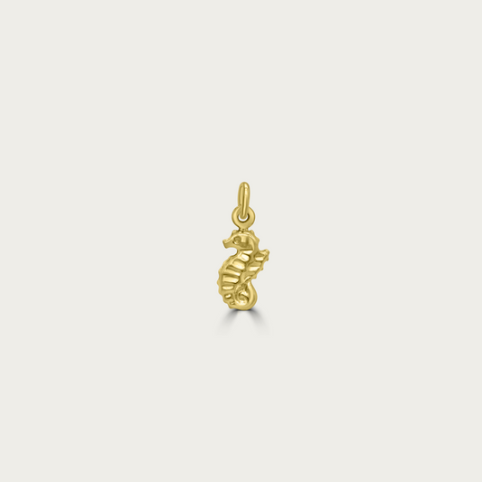 The Silly Seahorse Charm