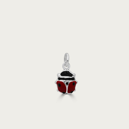 The Lady Bug Charm