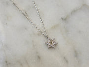 The Pave Star of David Necklace