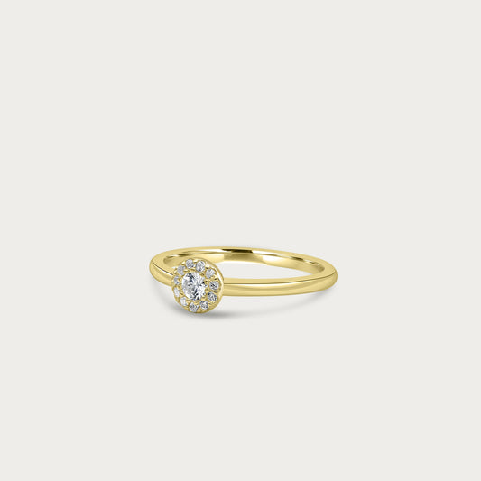 The Petite Round Solitaire with Pave Halo