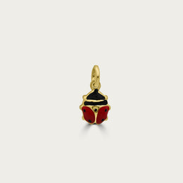 The Lady Bug Charm